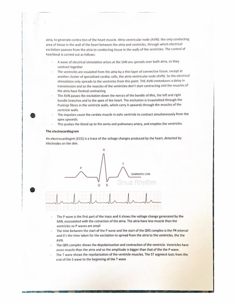Features of a transport system
Transport systems in animals have:
Transport in animals notes
a suitable medium in which to carry materials
a