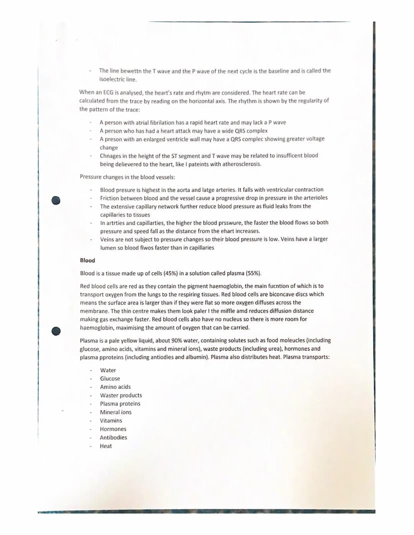 Features of a transport system
Transport systems in animals have:
Transport in animals notes
a suitable medium in which to carry materials
a