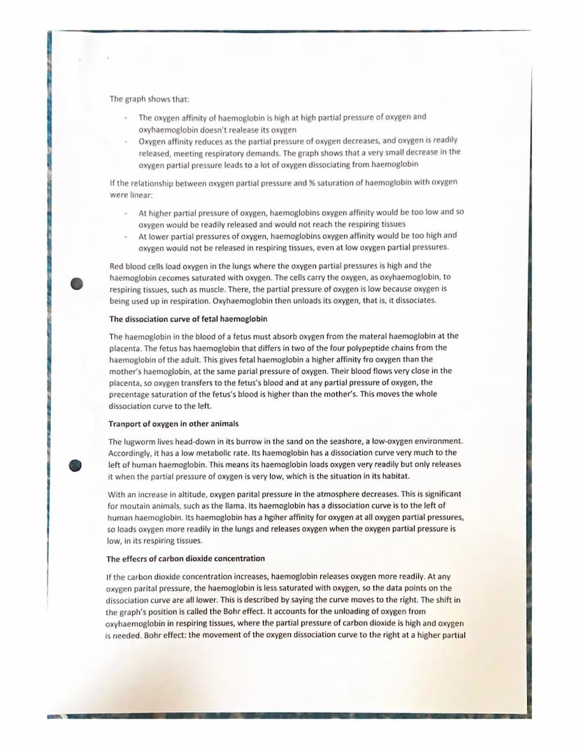 Features of a transport system
Transport systems in animals have:
Transport in animals notes
a suitable medium in which to carry materials
a