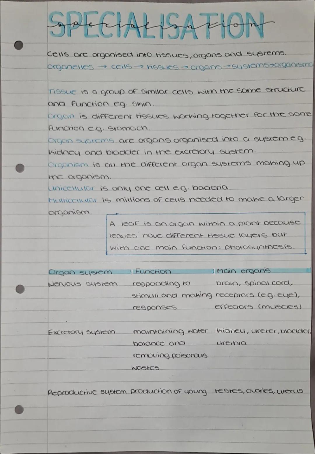 Biology GCSE Specialisation Notes