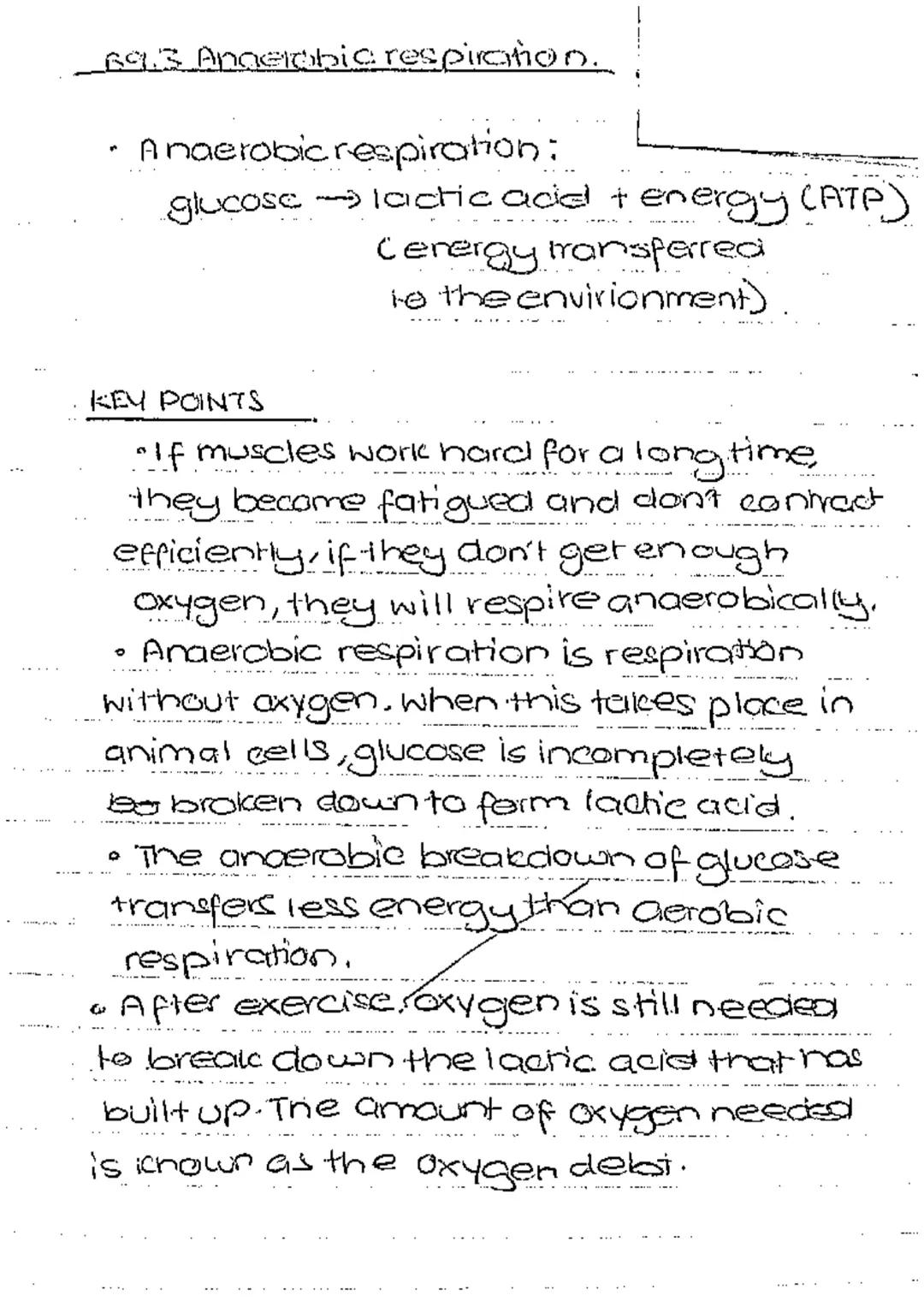 Anaerobic respiration