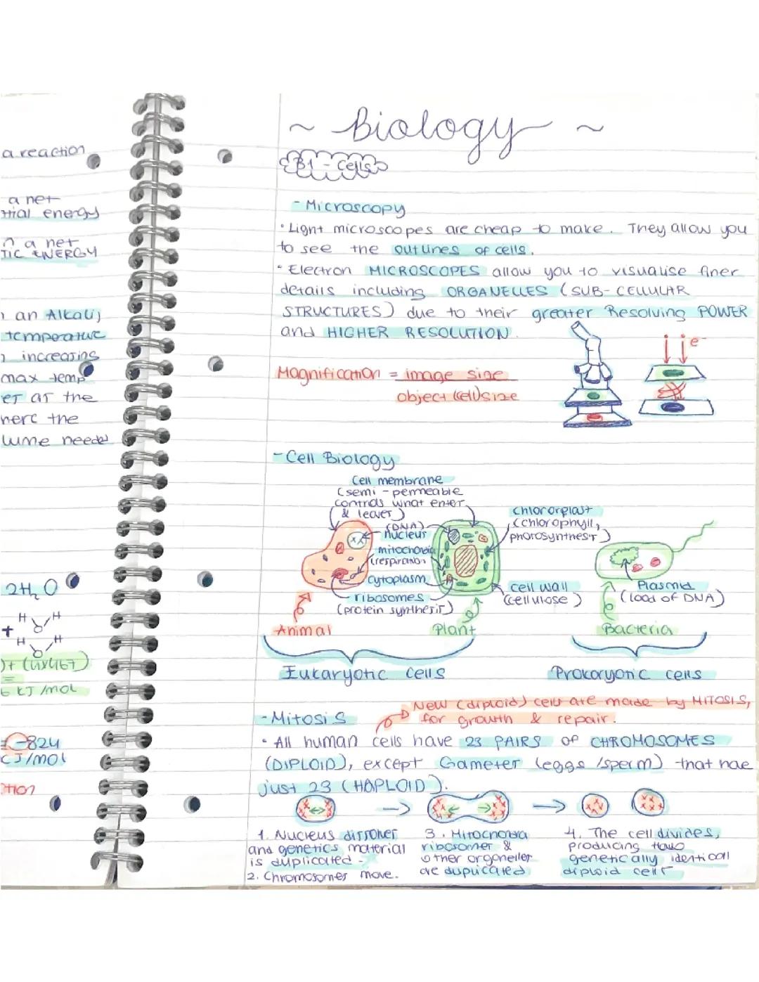 GCSE Biology - paper 1 higher