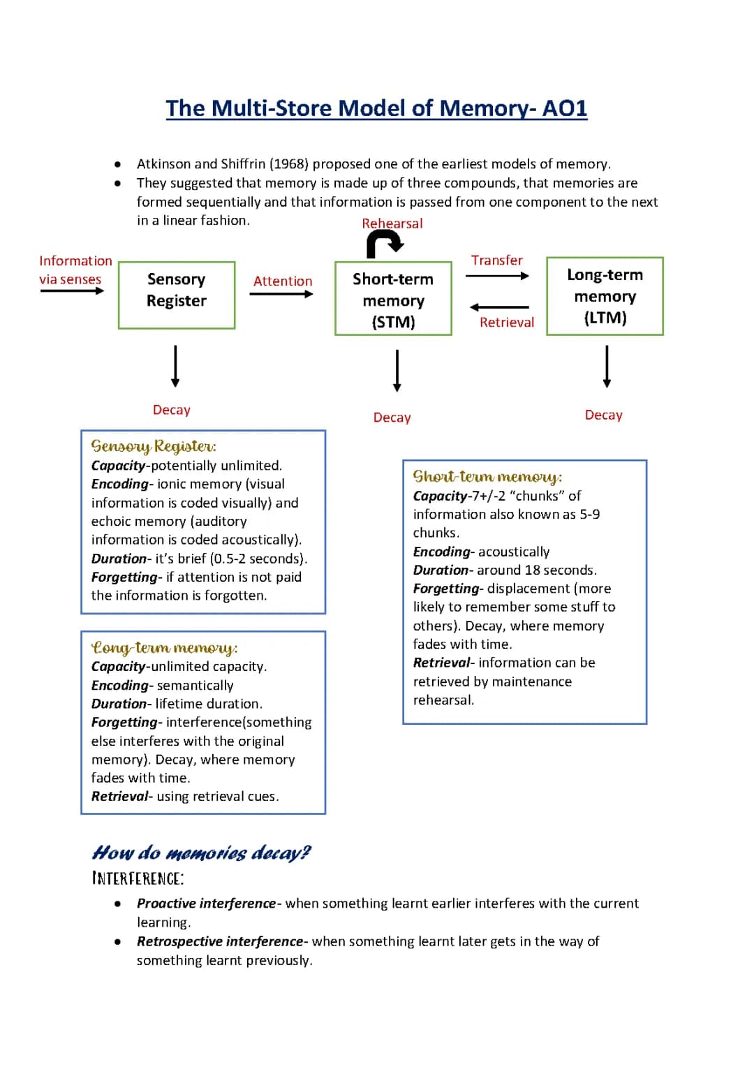 The Multi Store Model of Memory 