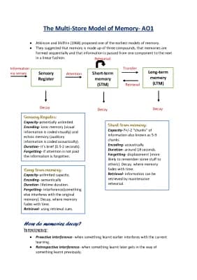 Know The Multi Store Model of Memory  thumbnail