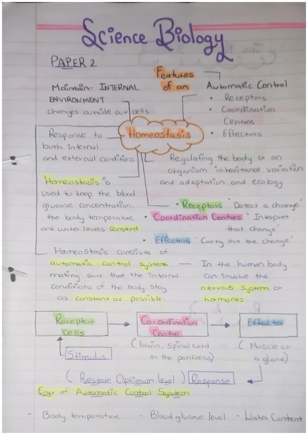 PAPER 2
Science Biology
Maintain- INTERNAL
ENVIRONMENT
changes outside our cells
Response to
both internal
and external conditions
Homeostas