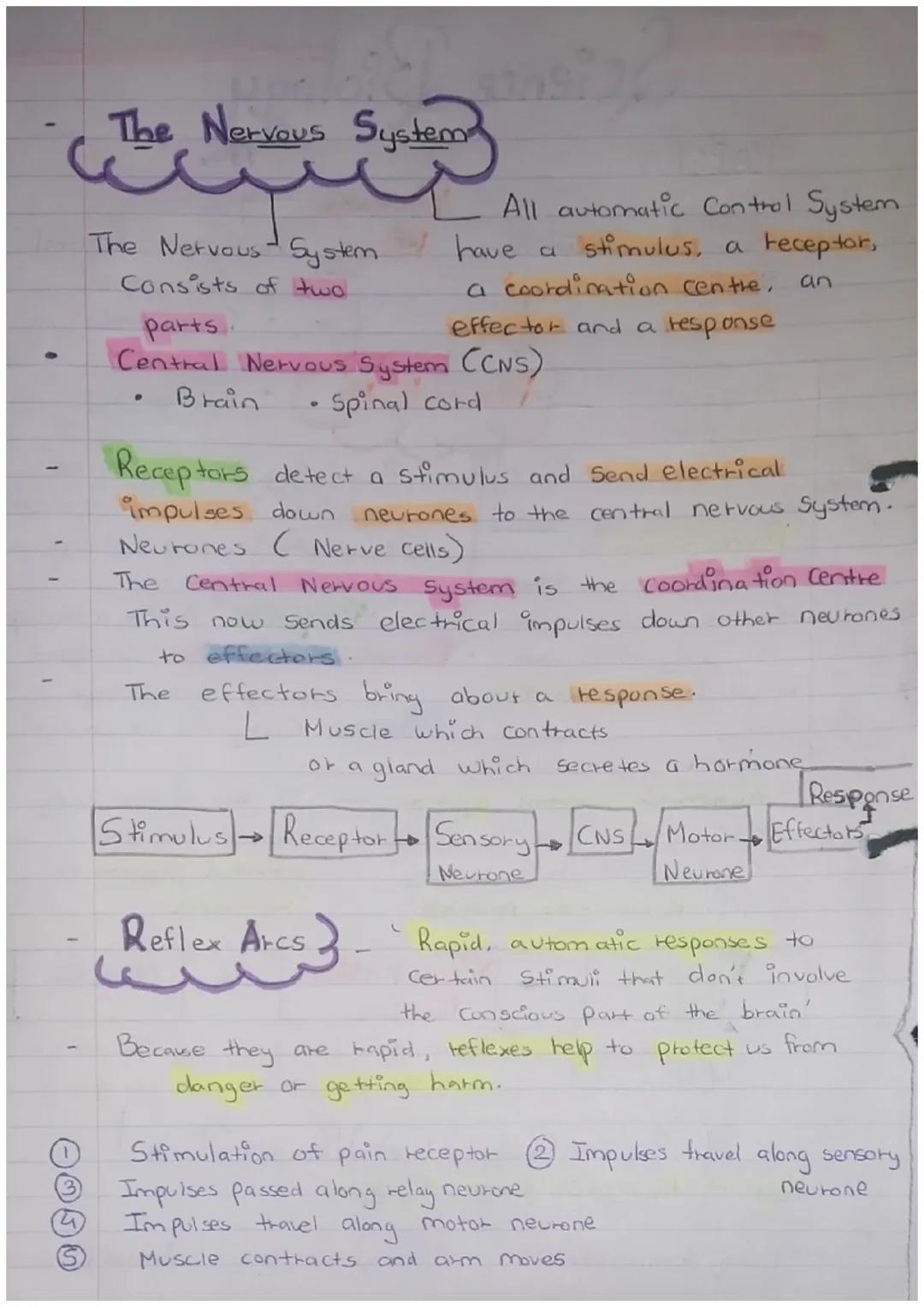 PAPER 2
Science Biology
Maintain- INTERNAL
ENVIRONMENT
changes outside our cells
Response to
both internal
and external conditions
Homeostas