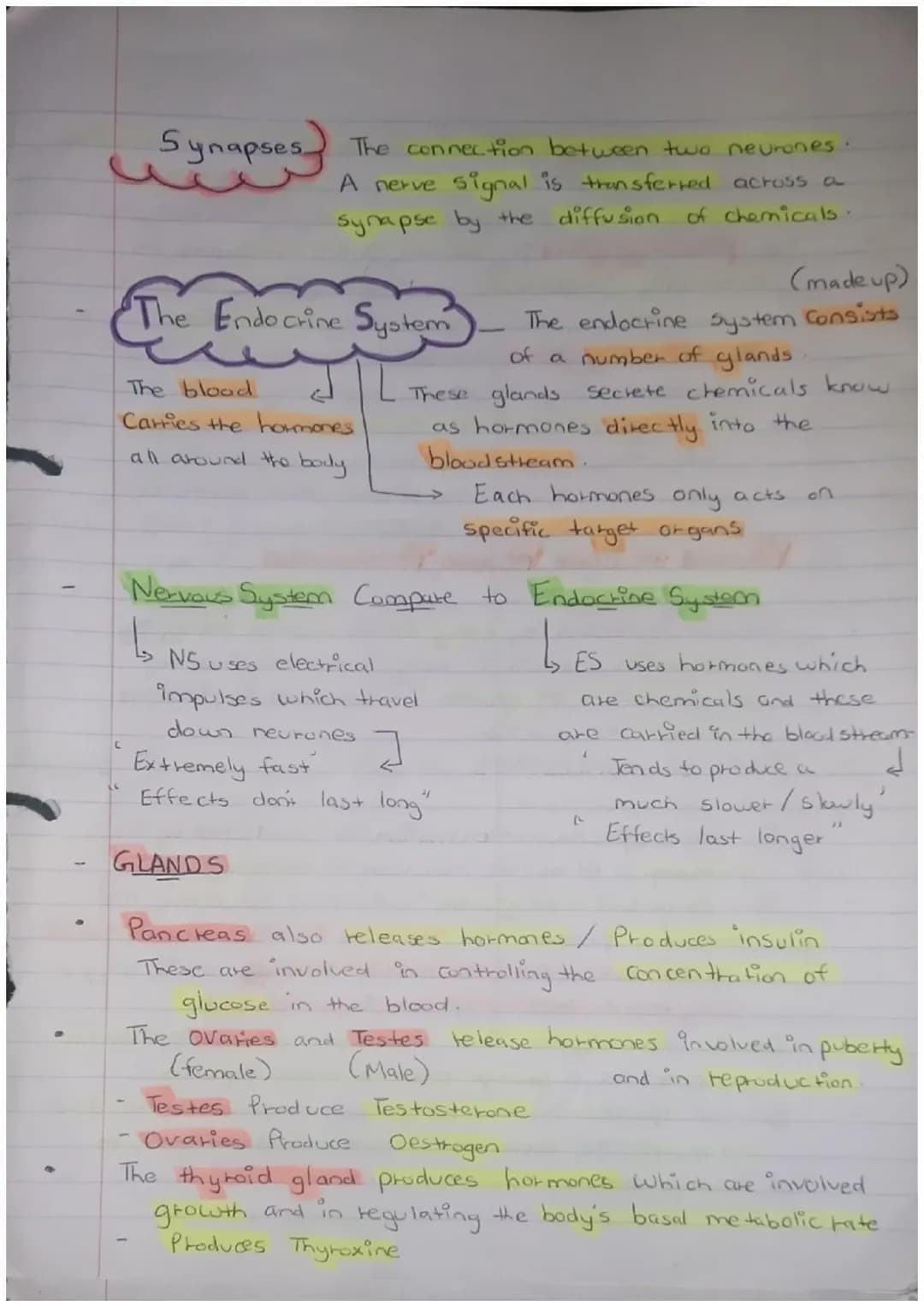 PAPER 2
Science Biology
Maintain- INTERNAL
ENVIRONMENT
changes outside our cells
Response to
both internal
and external conditions
Homeostas