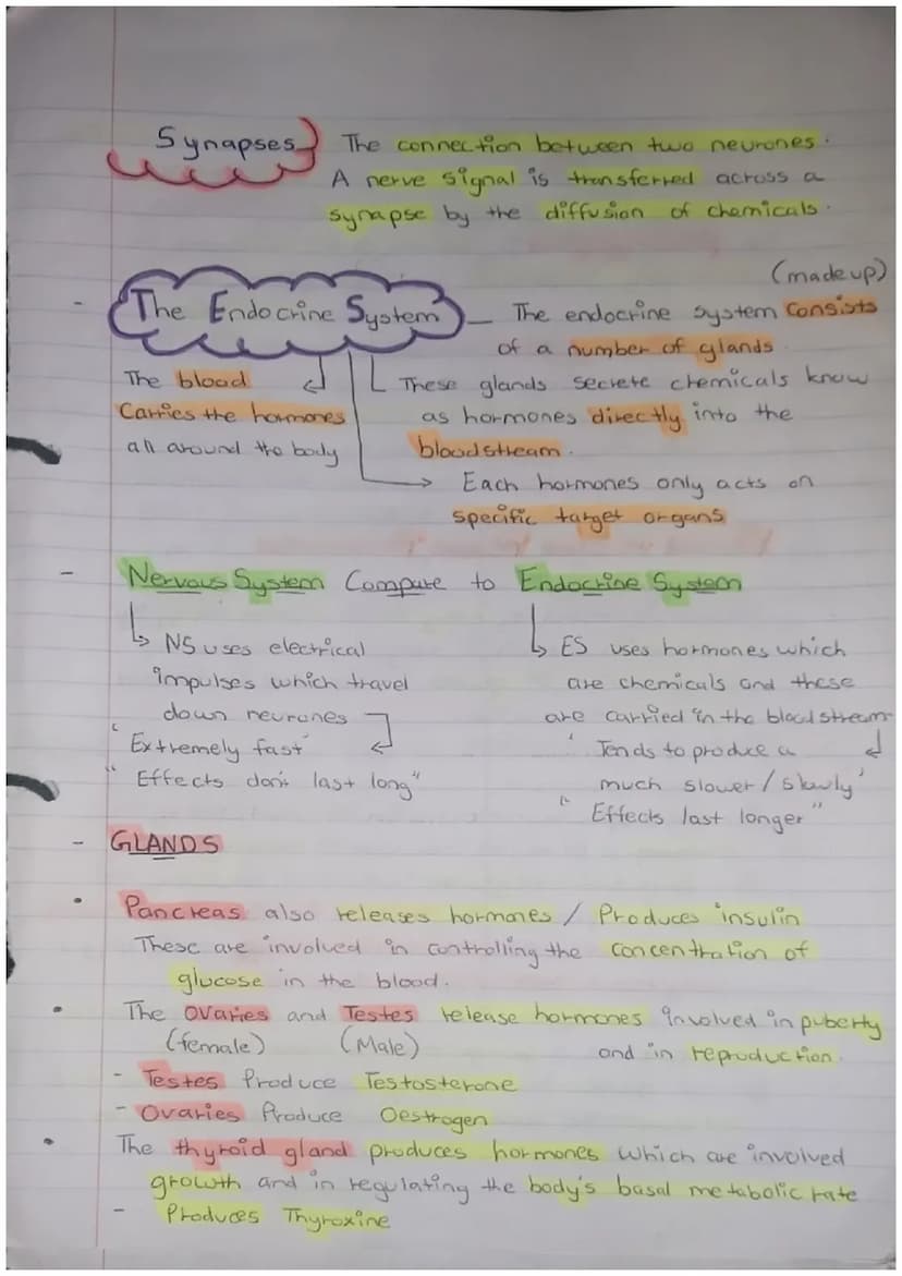 PAPER 2
Science Biology
Maintain- INTERNAL
ENVIRONMENT
changes outside our cells
Response to
both internal
and external conditions
Homeostas