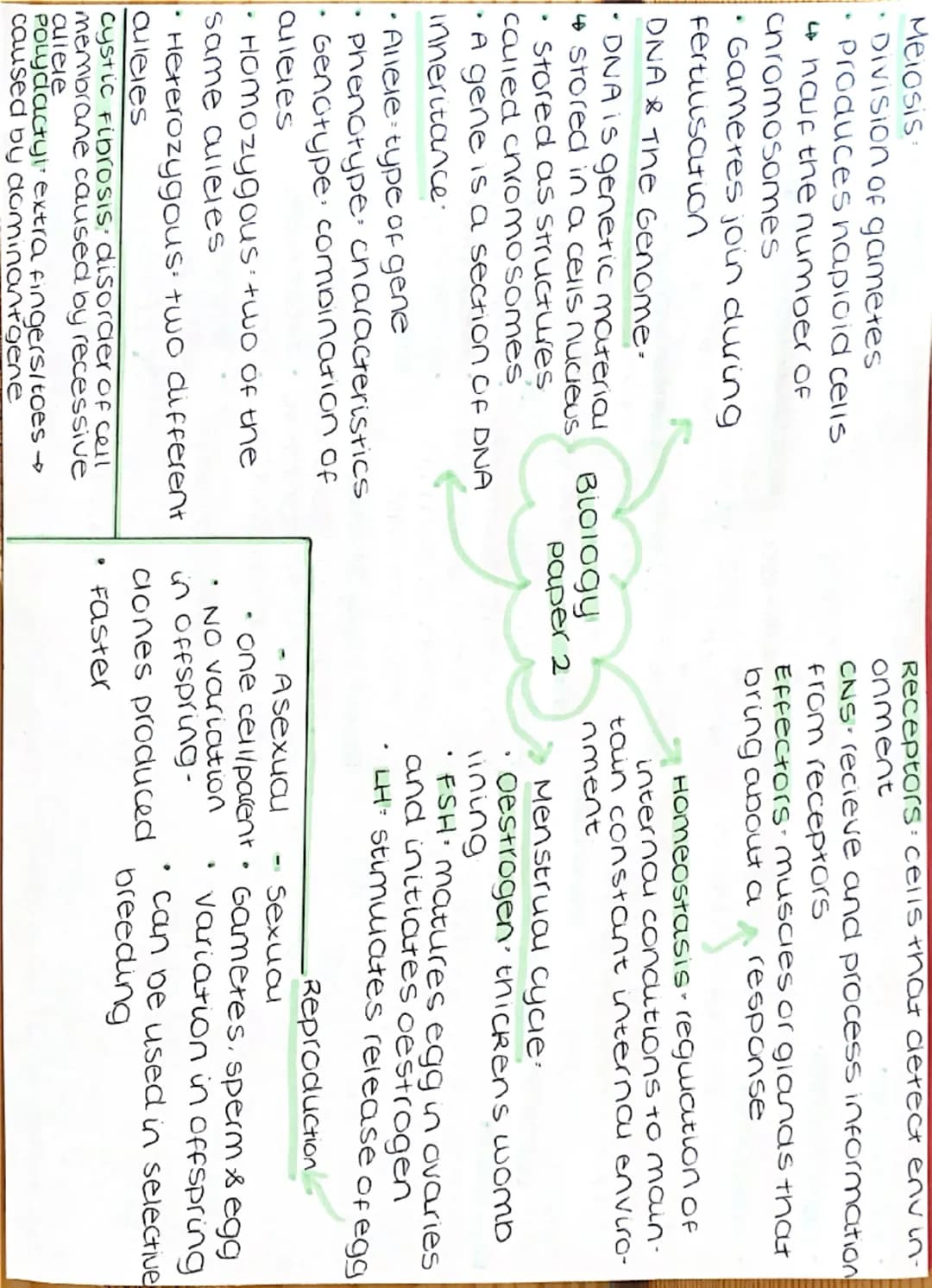 --- OCR Start ---
Meiosis
Division of gametes
Produces naploid cells
4 houf the number of
chromosomes
• Gameres join during
Fertlisation
DNA