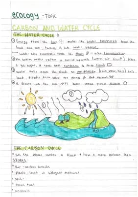 Know carbon and water cycle- ecology biology combined and seperate thumbnail