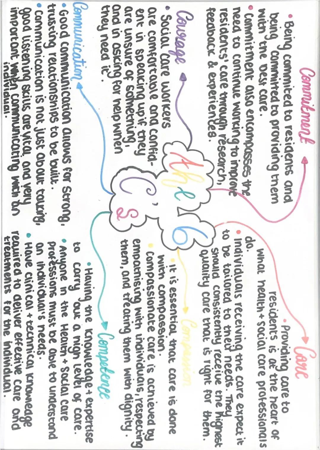 Commitment
• Being commited to residents and
being committed to providing them
with the best care.
• Commitment also encompasses the
need to