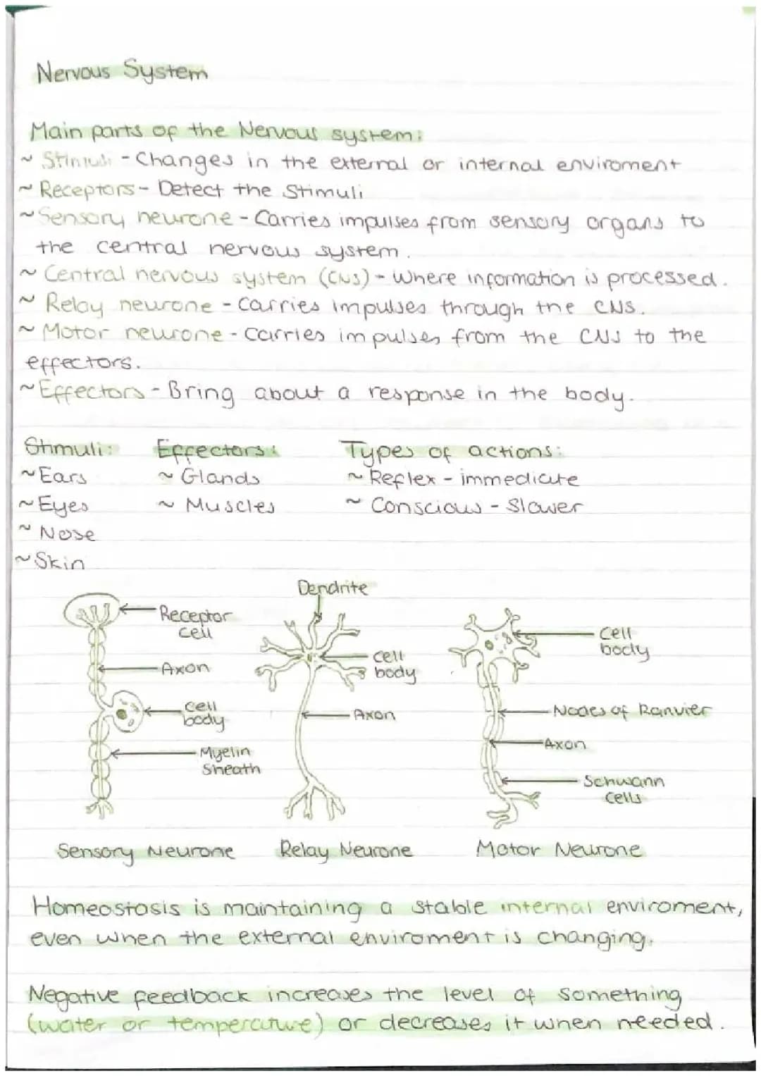 AQA GCSE COMBINED BIOLOGY 