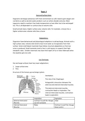 Know A-Level Biology Exchange and Transport Systems thumbnail