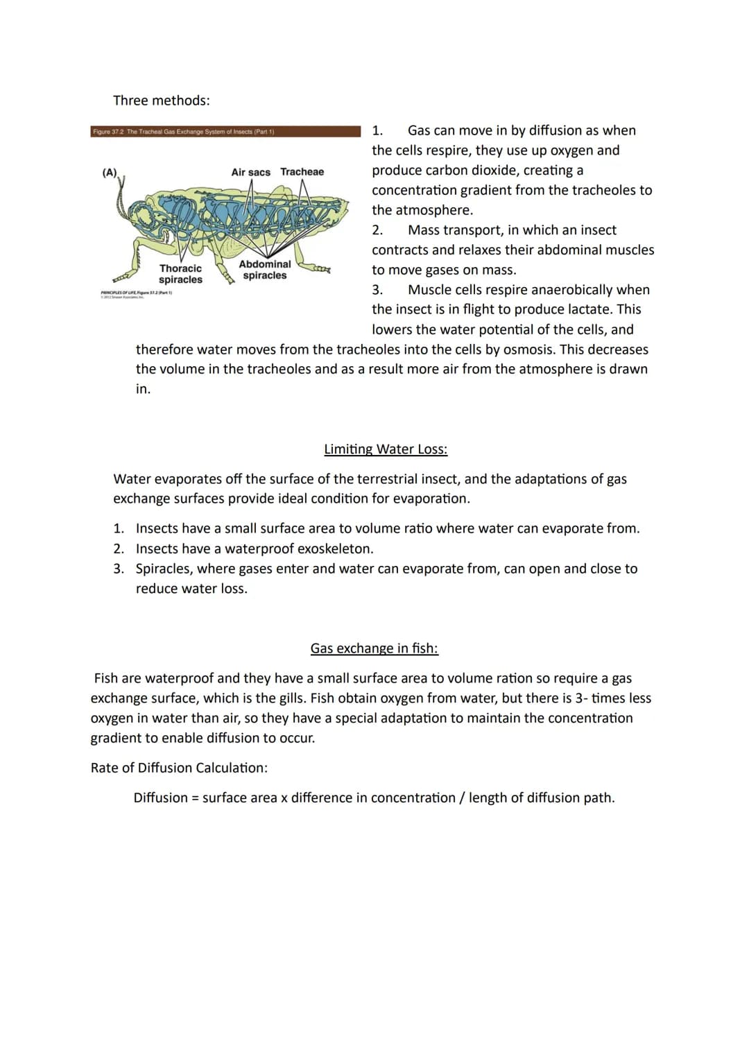 Topic 3
Size and Surface Area:
Organisms exchange substances with their environment as cells need to gain oxygen and
nutrients as well as ex