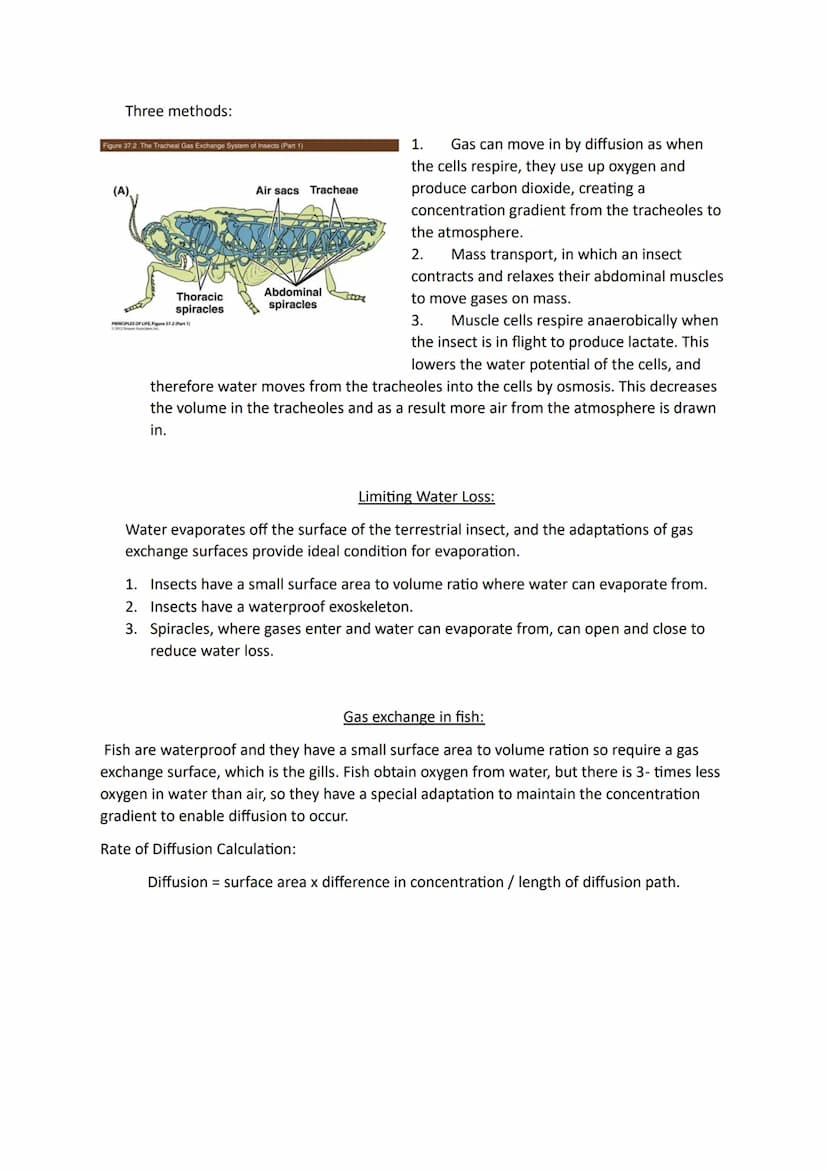 Topic 3
Size and Surface Area:
Organisms exchange substances with their environment as cells need to gain oxygen and
nutrients as well as ex