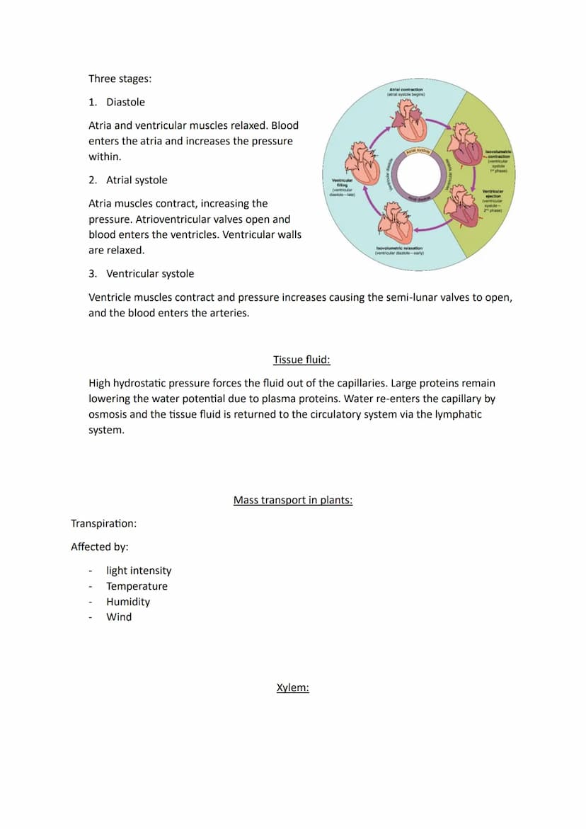 Topic 3
Size and Surface Area:
Organisms exchange substances with their environment as cells need to gain oxygen and
nutrients as well as ex