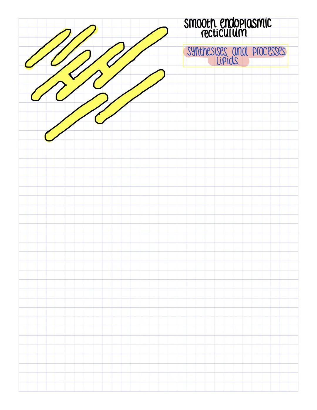 # A-Level Biology

Eukaryotic cells are complex and include all
cacells encomplex
animal and plant ceus, as well as all ceus in algae
and fu