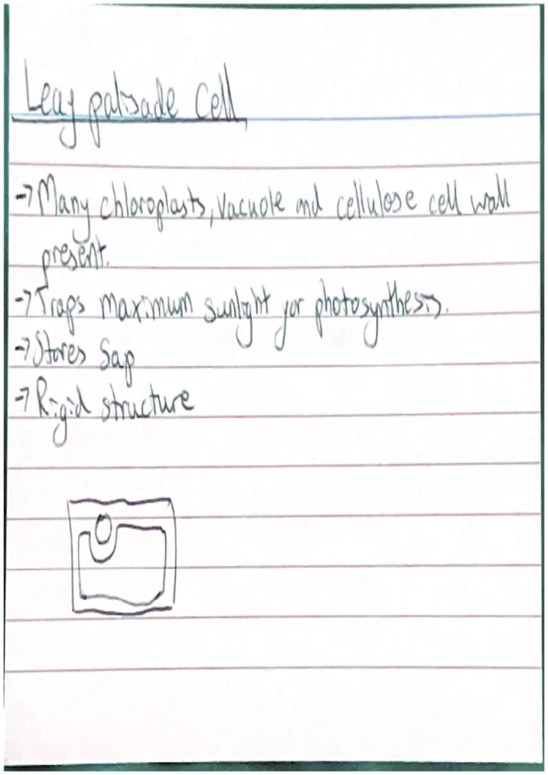 Animal Cell
/Cell Membrane
Cytoplasm
Nucleus
~Mitarhondia 10
Chloroplast
Plant Cell
000
Valcuck
Cellwall /System)
Organs
Fissue
Cells Protei