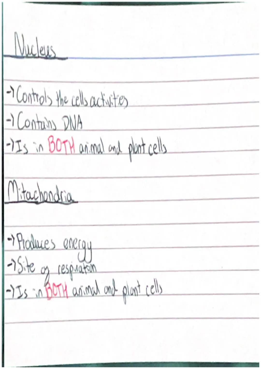 Animal Cell
/Cell Membrane
Cytoplasm
Nucleus
~Mitarhondia 10
Chloroplast
Plant Cell
000
Valcuck
Cellwall /System)
Organs
Fissue
Cells Protei