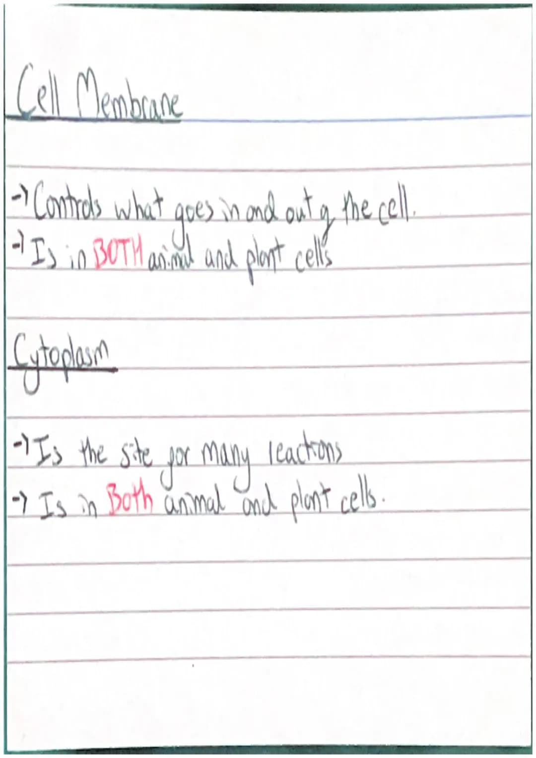 Animal Cell
/Cell Membrane
Cytoplasm
Nucleus
~Mitarhondia 10
Chloroplast
Plant Cell
000
Valcuck
Cellwall /System)
Organs
Fissue
Cells Protei