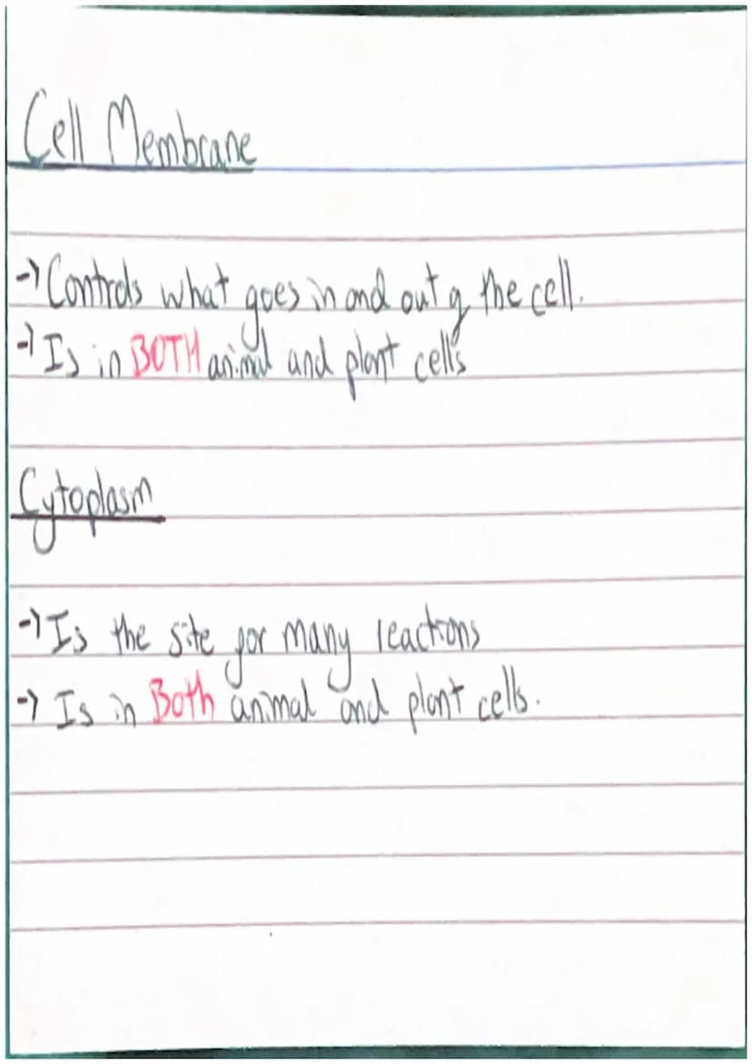 Animal Cell
/Cell Membrane
Cytoplasm
Nucleus
~Mitarhondia 10
Chloroplast
Plant Cell
000
Valcuck
Cellwall /System)
Organs
Fissue
Cells Protei