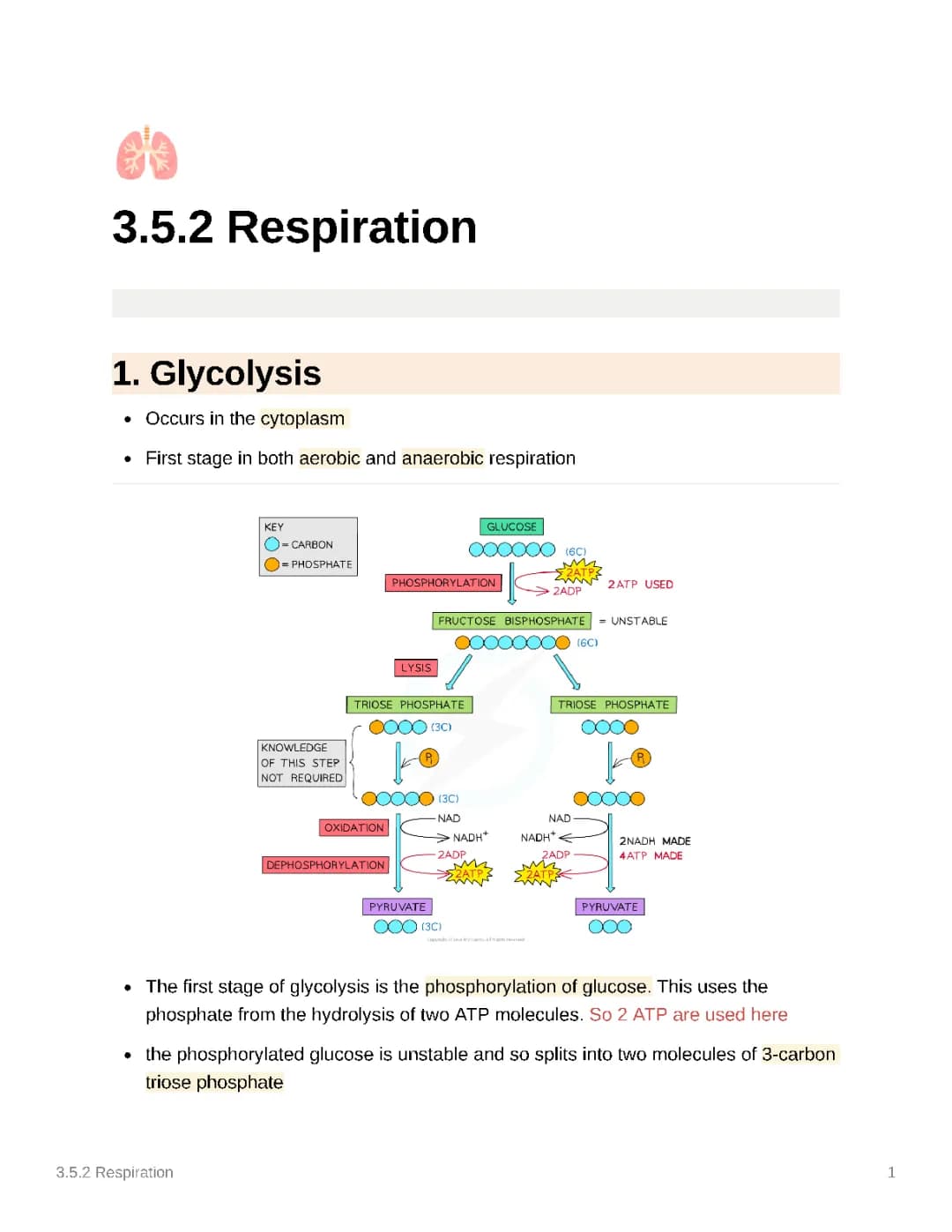 AQA A Level Biology Respiration Notes - PDF Download and Exam Questions