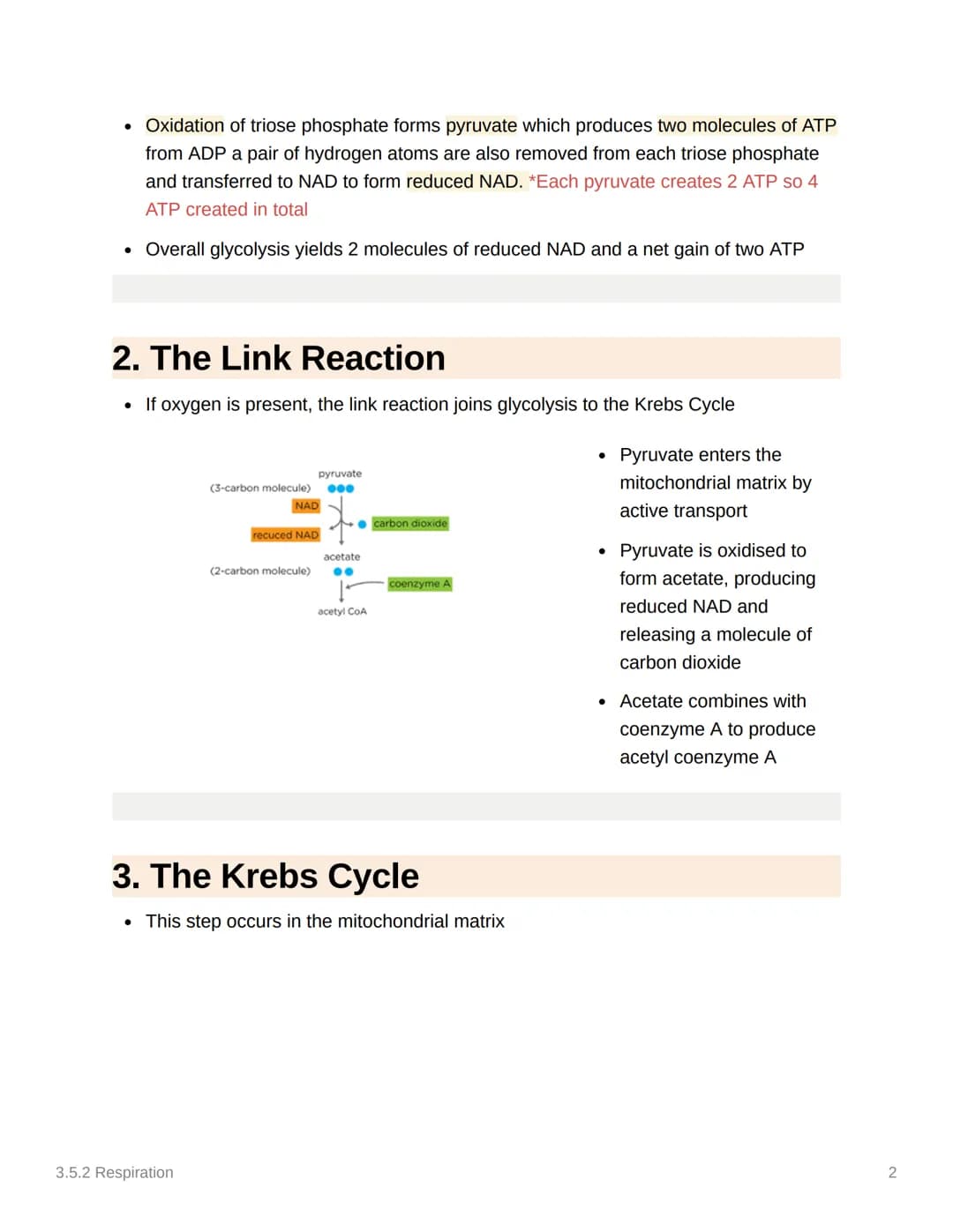 
<h2 id="glycolysis">Glycolysis</h2>
<p>Glycolysis occurs in the cytoplasm and is the first stage in both aerobic and anaerobic respiration.