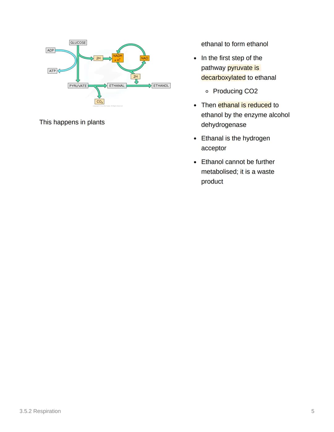 
<h2 id="glycolysis">Glycolysis</h2>
<p>Glycolysis occurs in the cytoplasm and is the first stage in both aerobic and anaerobic respiration.