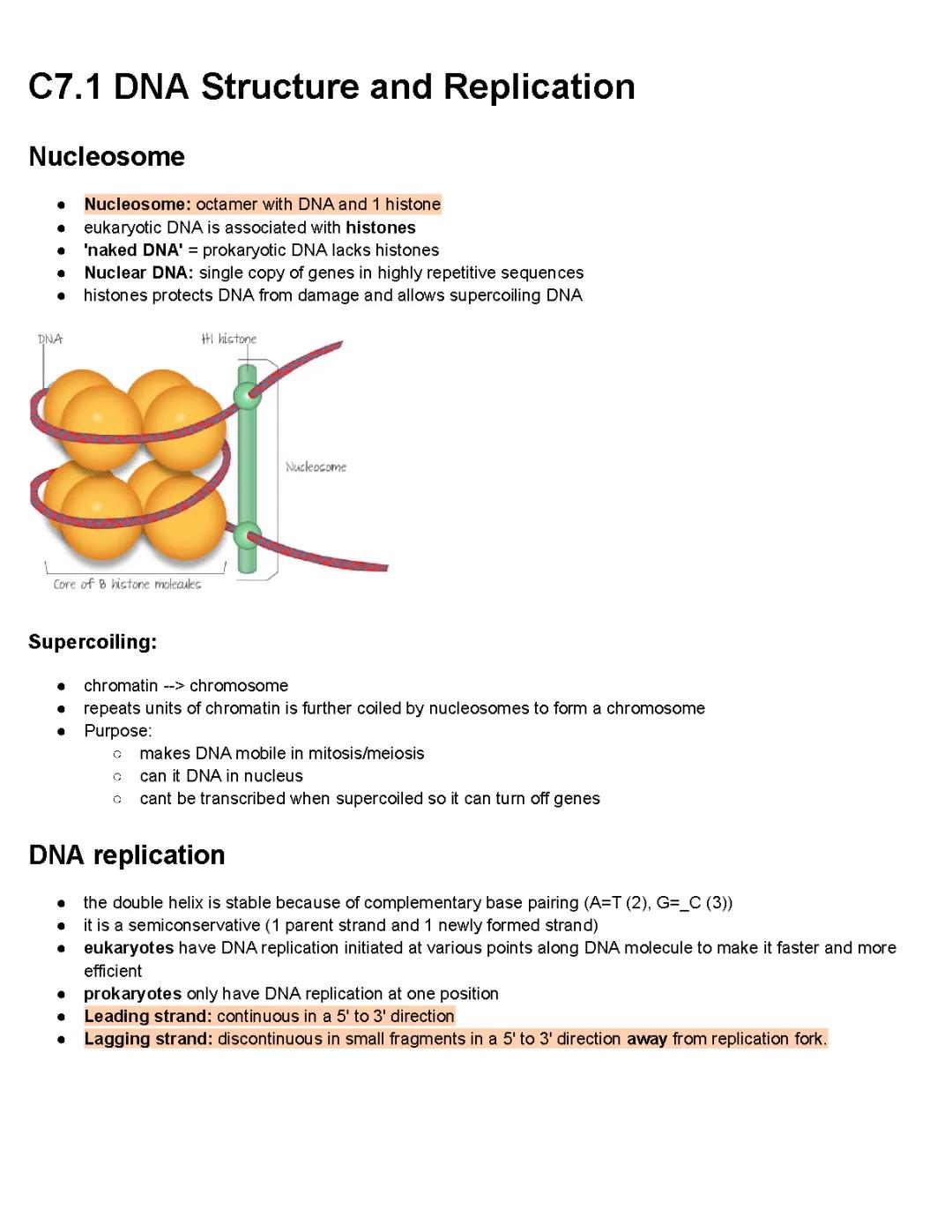 Chapter 7 IB biology HL