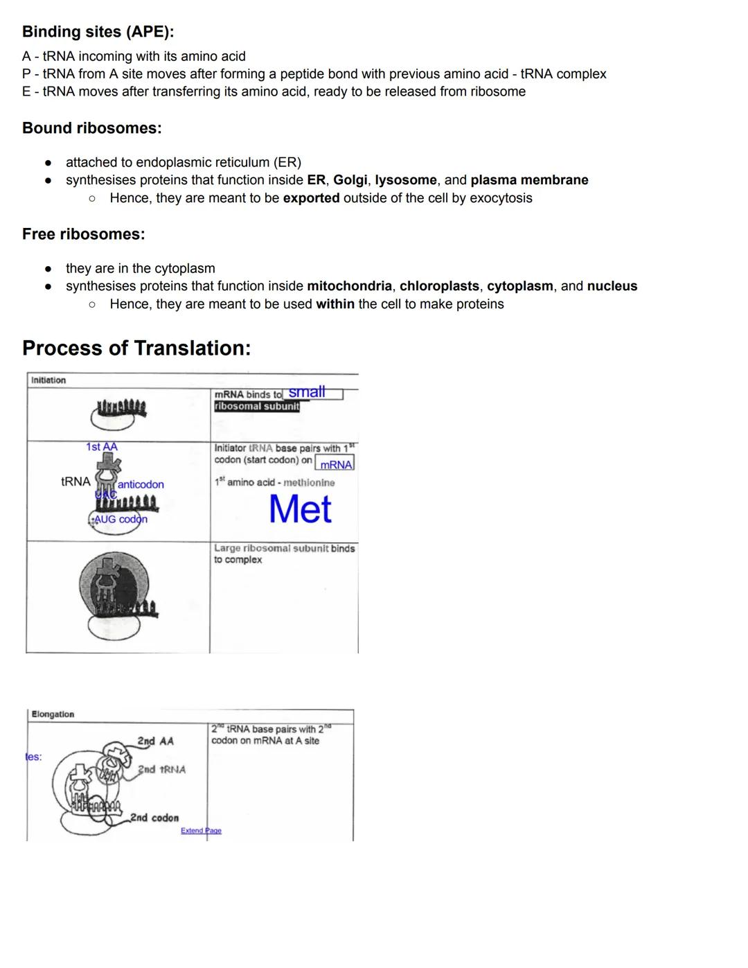C7.1 DNA Structure and Replication
Nucleosome
● Nucleosome: octamer with DNA and 1 histone
eukaryotic DNA is associated with histones
'naked