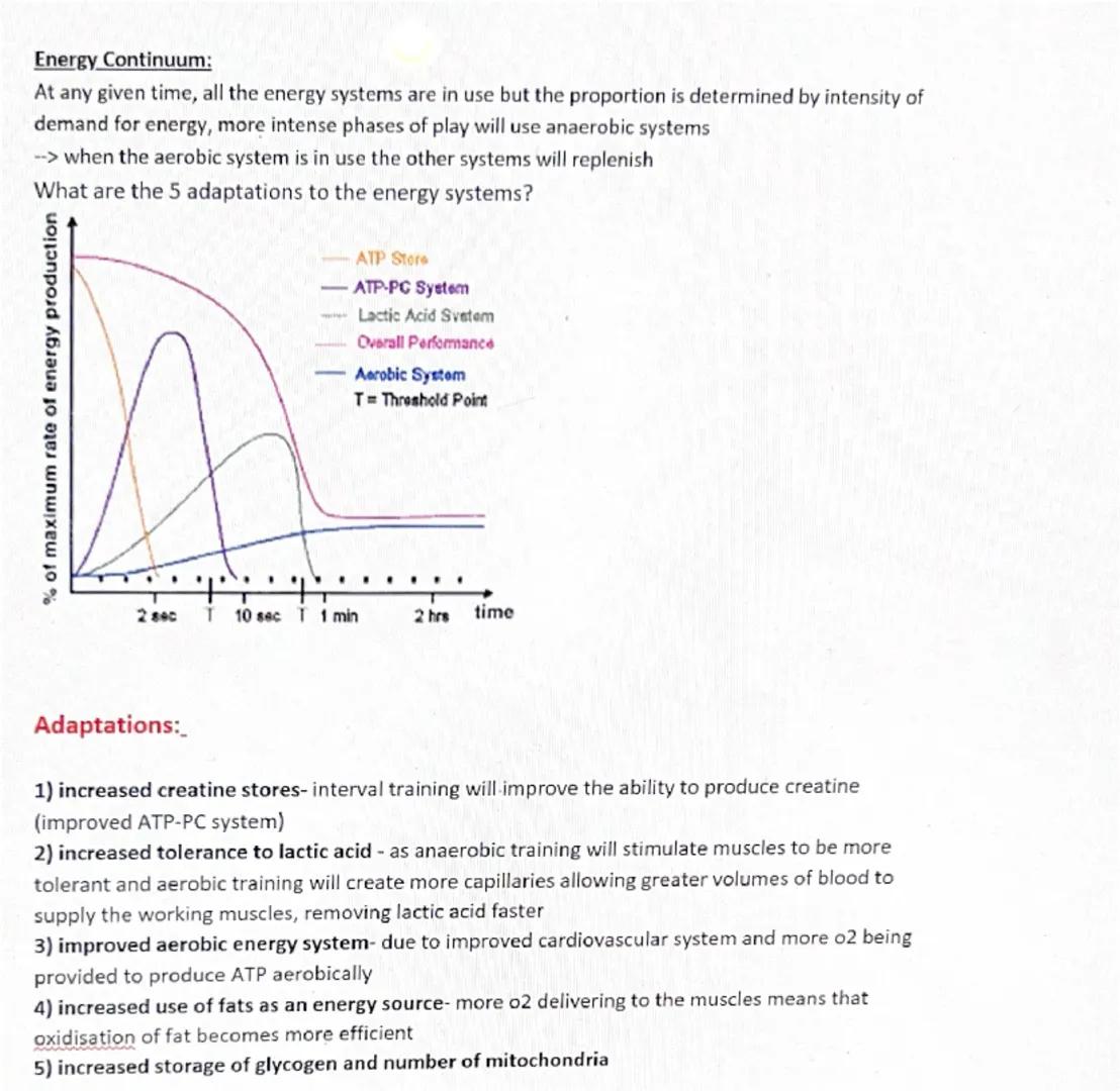 Energy Systems
Sunday, December 29, 2024 1:11 PM
The role of ATP in the body:
⚫ ATP is stored in muscles
⚫ It is the only chemical compound 