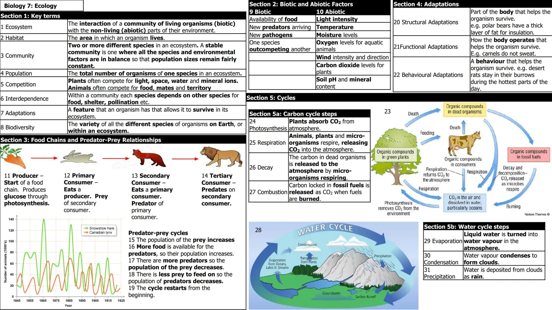 Biology 7: Ecology
Section 1: Key terms
1 Ecosystem
2
Habitat
3 Community
11 Producer -
Start of a food
chain. Produces
glucose through
phot