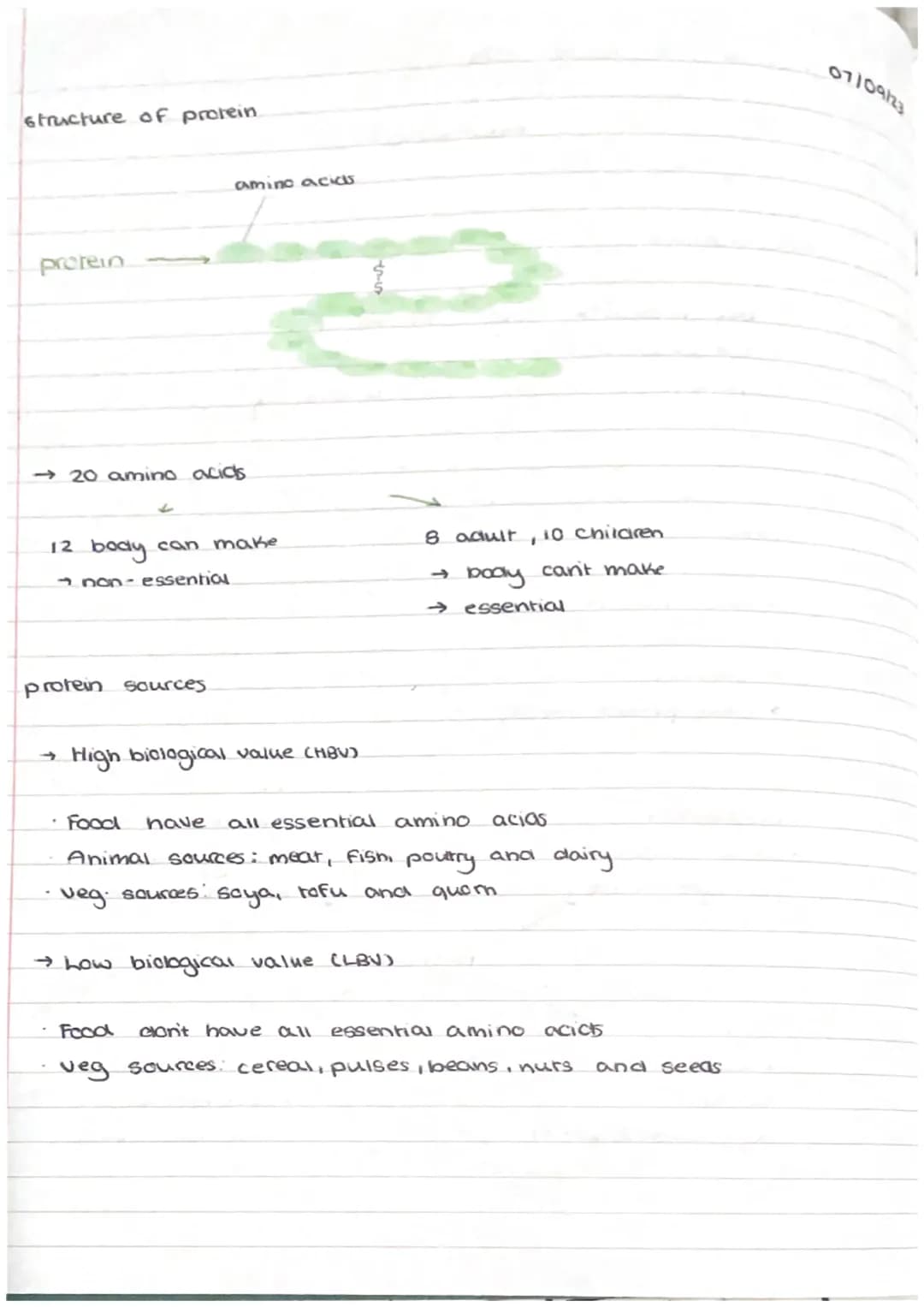 structure of protein.
protein
amino acids
→20 amino acids
12 body can make
non- essential
protein sources
High biological value (HBV)
8 adul