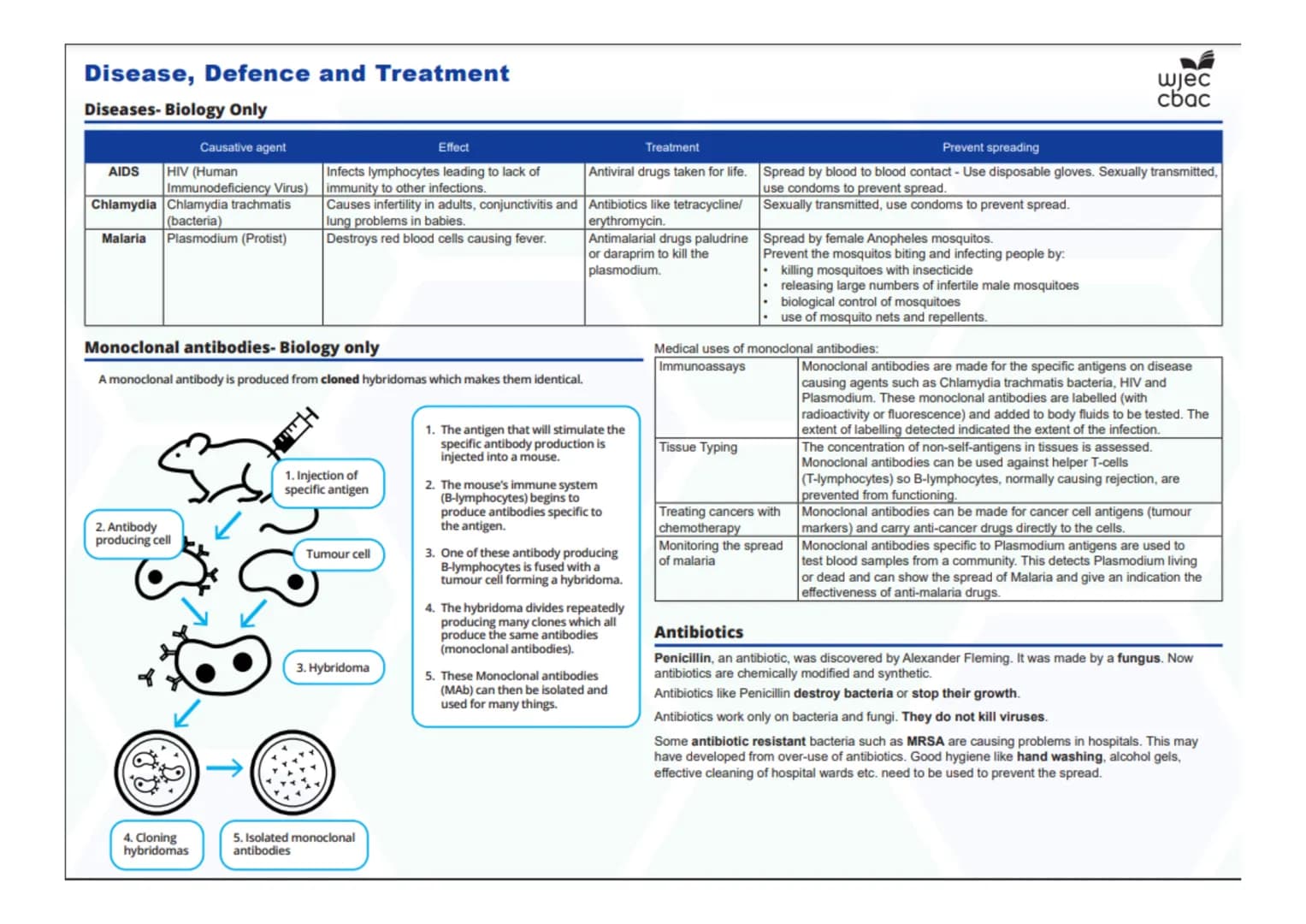 --- OCR Start ---
Disease, Defence and Treatment
Diseases- Biology Only
Monoclonal antibodies- Biology only
A monoclonal antibody is produce
