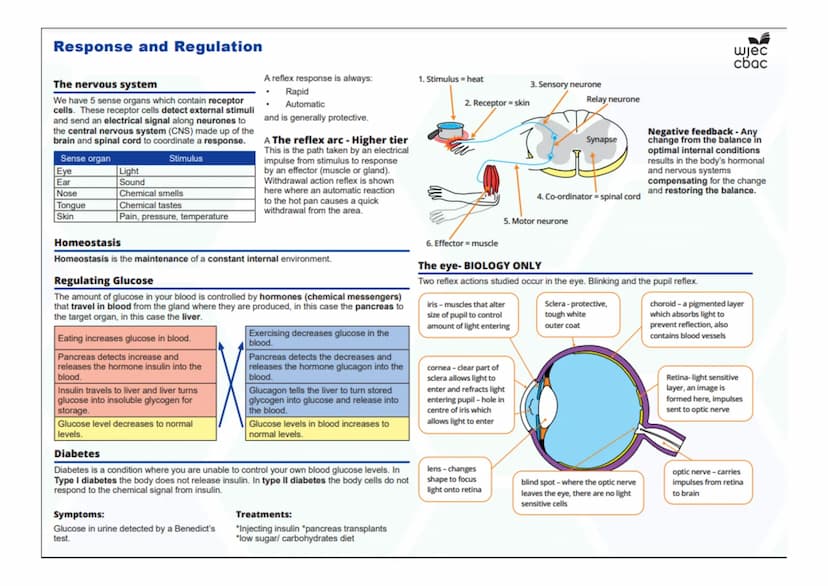 --- OCR Start ---
Disease, Defence and Treatment
Diseases- Biology Only
Monoclonal antibodies- Biology only
A monoclonal antibody is produce