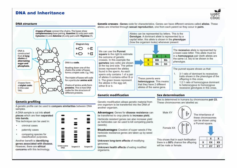 --- OCR Start ---
Disease, Defence and Treatment
Diseases- Biology Only
Monoclonal antibodies- Biology only
A monoclonal antibody is produce