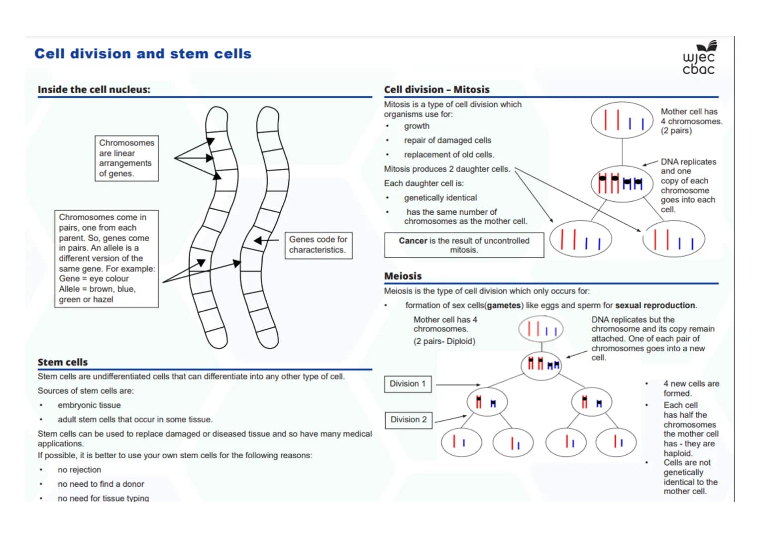 --- OCR Start ---
Disease, Defence and Treatment
Diseases- Biology Only
Monoclonal antibodies- Biology only
A monoclonal antibody is produce