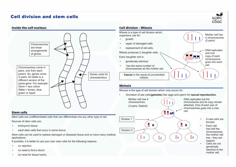 --- OCR Start ---
Disease, Defence and Treatment
Diseases- Biology Only
Monoclonal antibodies- Biology only
A monoclonal antibody is produce