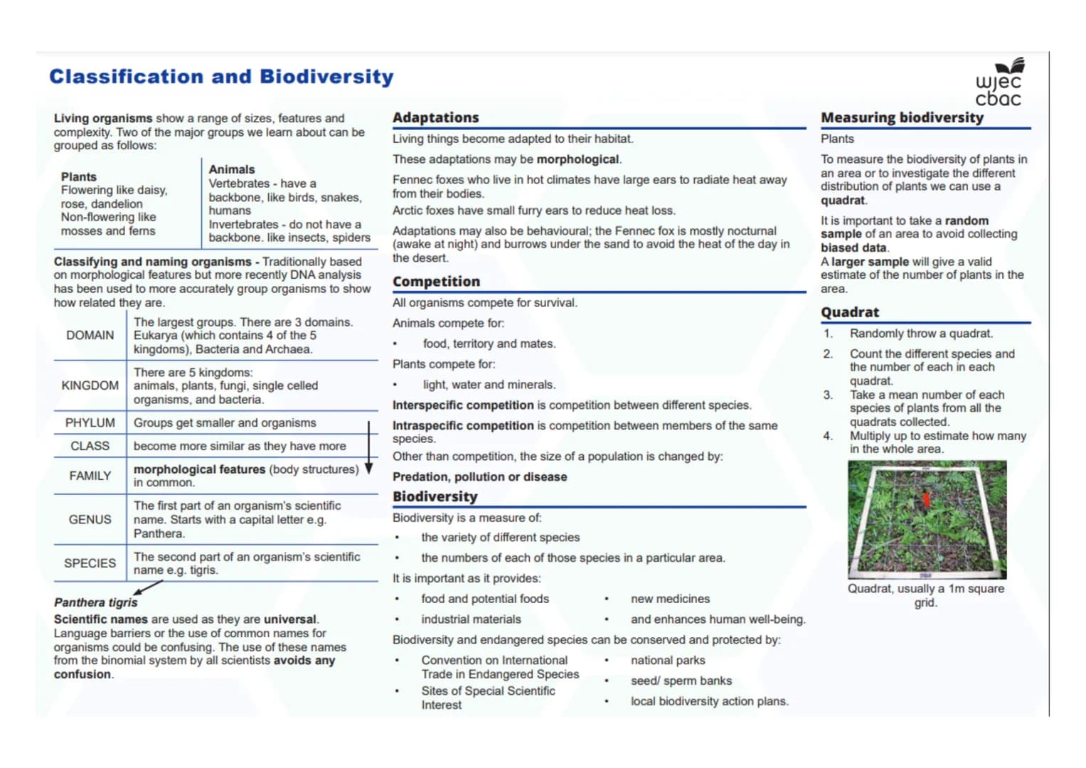 --- OCR Start ---
Disease, Defence and Treatment
Diseases- Biology Only
Monoclonal antibodies- Biology only
A monoclonal antibody is produce