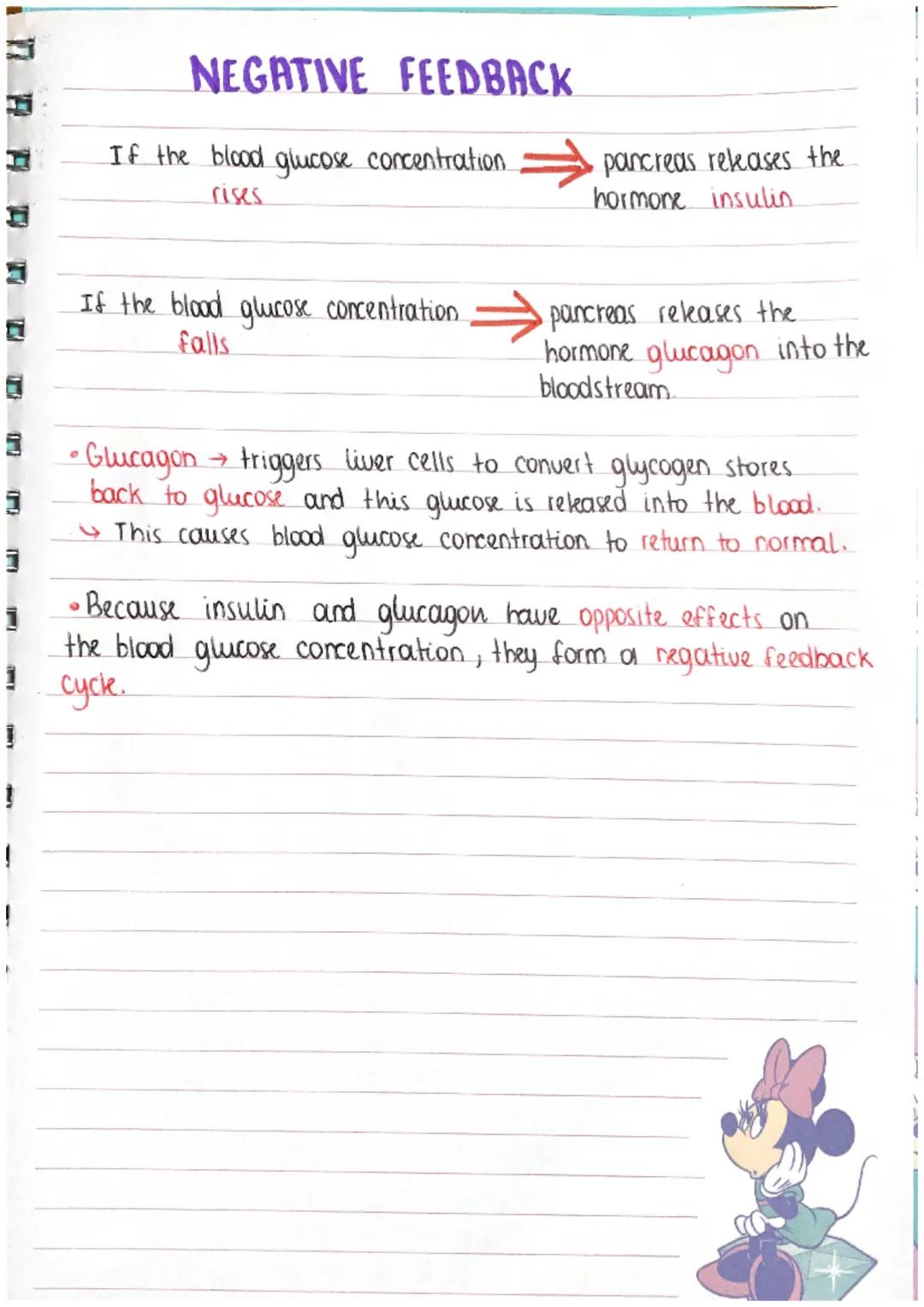 # THE ENDOCRINE SYSTEM

• A key feature of the nervous system is that it is extremely.
fast. However, the effects of the nervous.
system ten