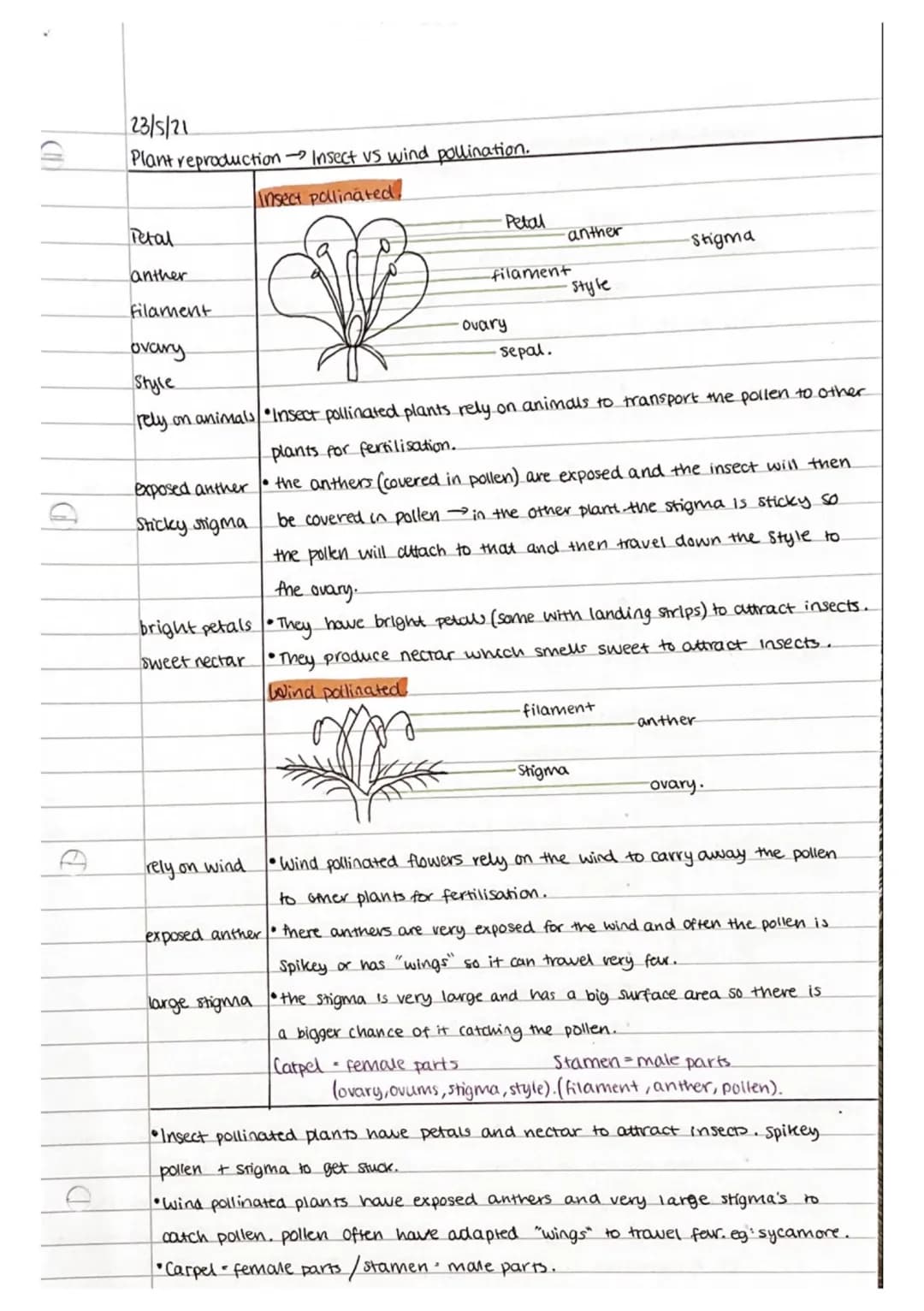 C
20/5/21
Reproduction Asexual vs sexual.
Asexual
•Reproduction with only one parent / by self.
• Still make offspring but are clones of par
