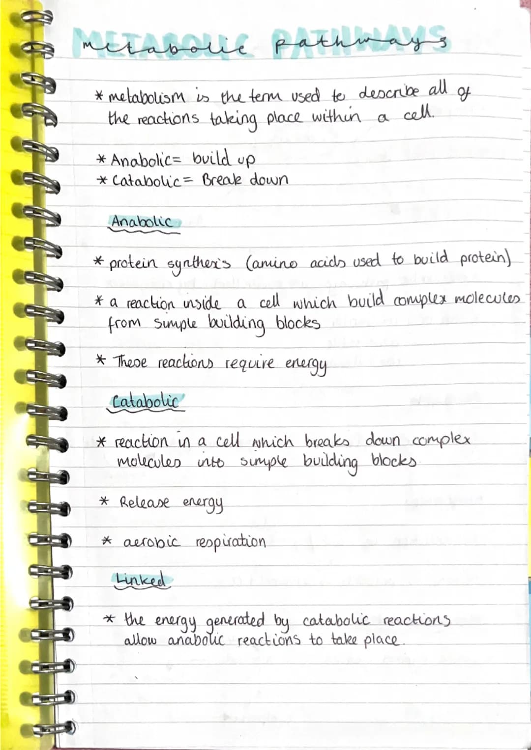 metabolic pathwa
pathways
* metabolism is the term used to describe all
the reactions taking place within.
J
cell.
* Anabolic build up
*Cata