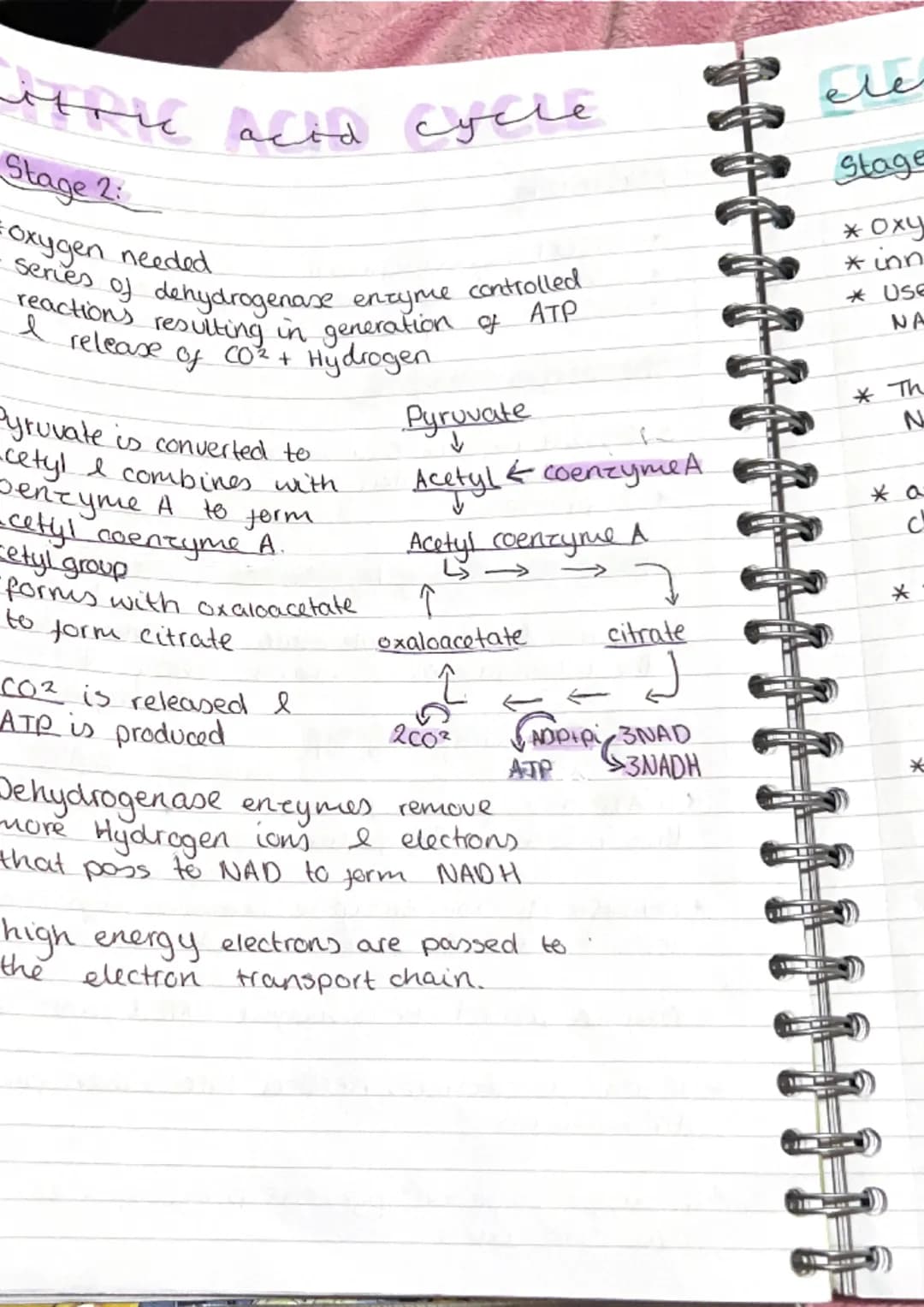 metabolic pathwa
pathways
* metabolism is the term used to describe all
the reactions taking place within.
J
cell.
* Anabolic build up
*Cata