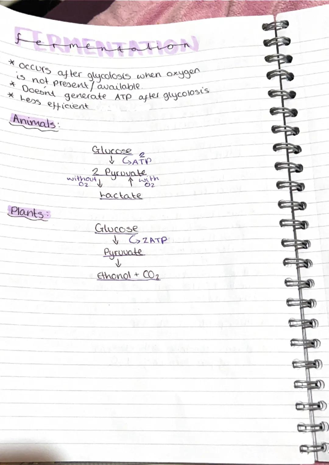 metabolic pathwa
pathways
* metabolism is the term used to describe all
the reactions taking place within.
J
cell.
* Anabolic build up
*Cata