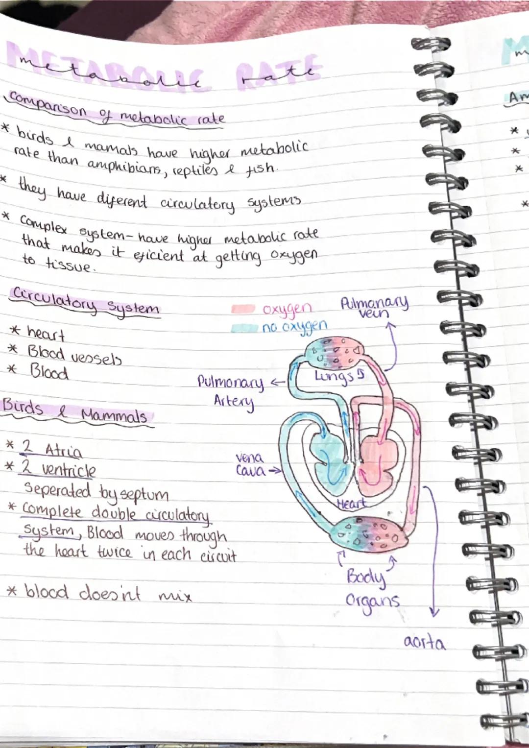 metabolic pathwa
pathways
* metabolism is the term used to describe all
the reactions taking place within.
J
cell.
* Anabolic build up
*Cata