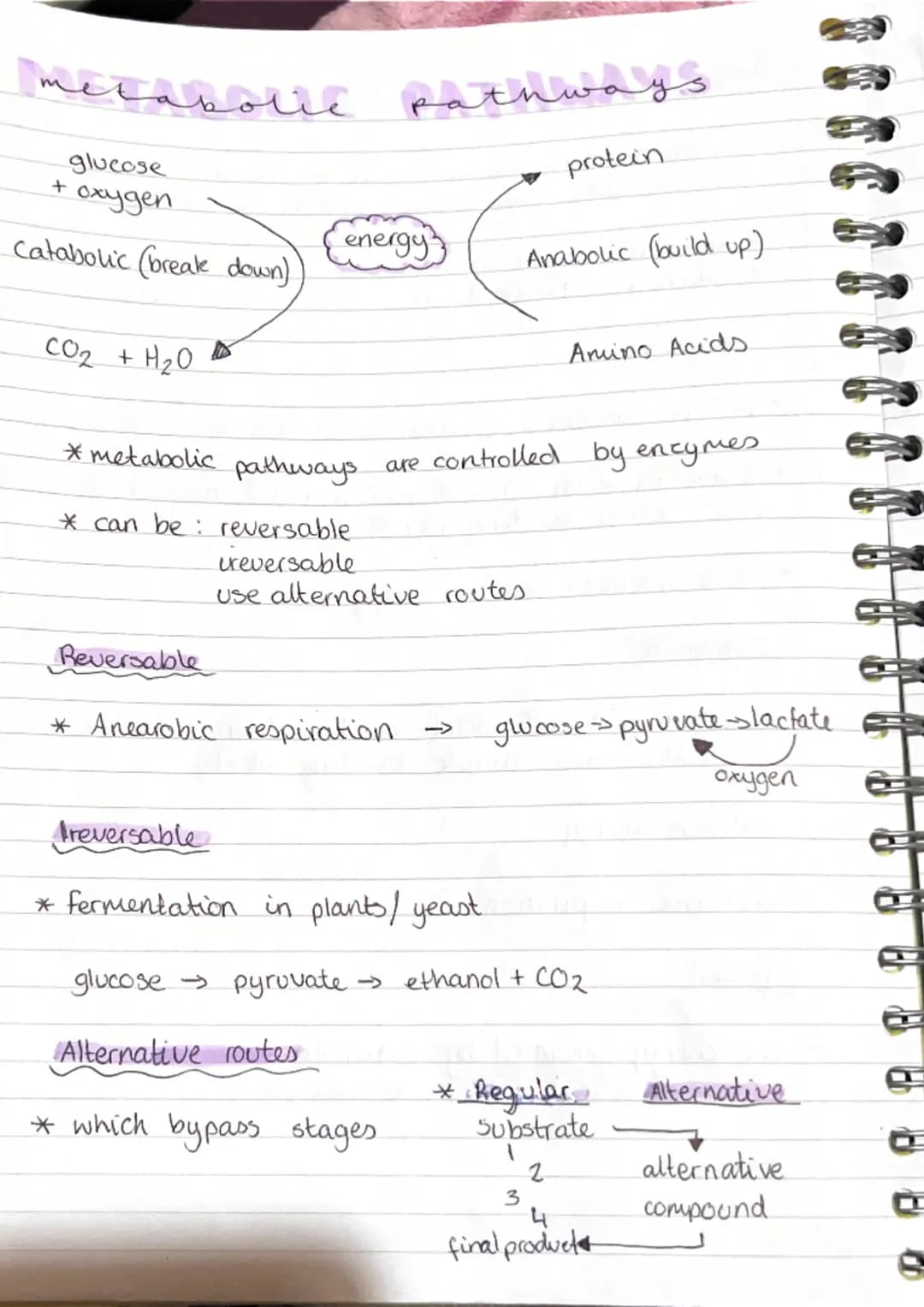 metabolic pathwa
pathways
* metabolism is the term used to describe all
the reactions taking place within.
J
cell.
* Anabolic build up
*Cata