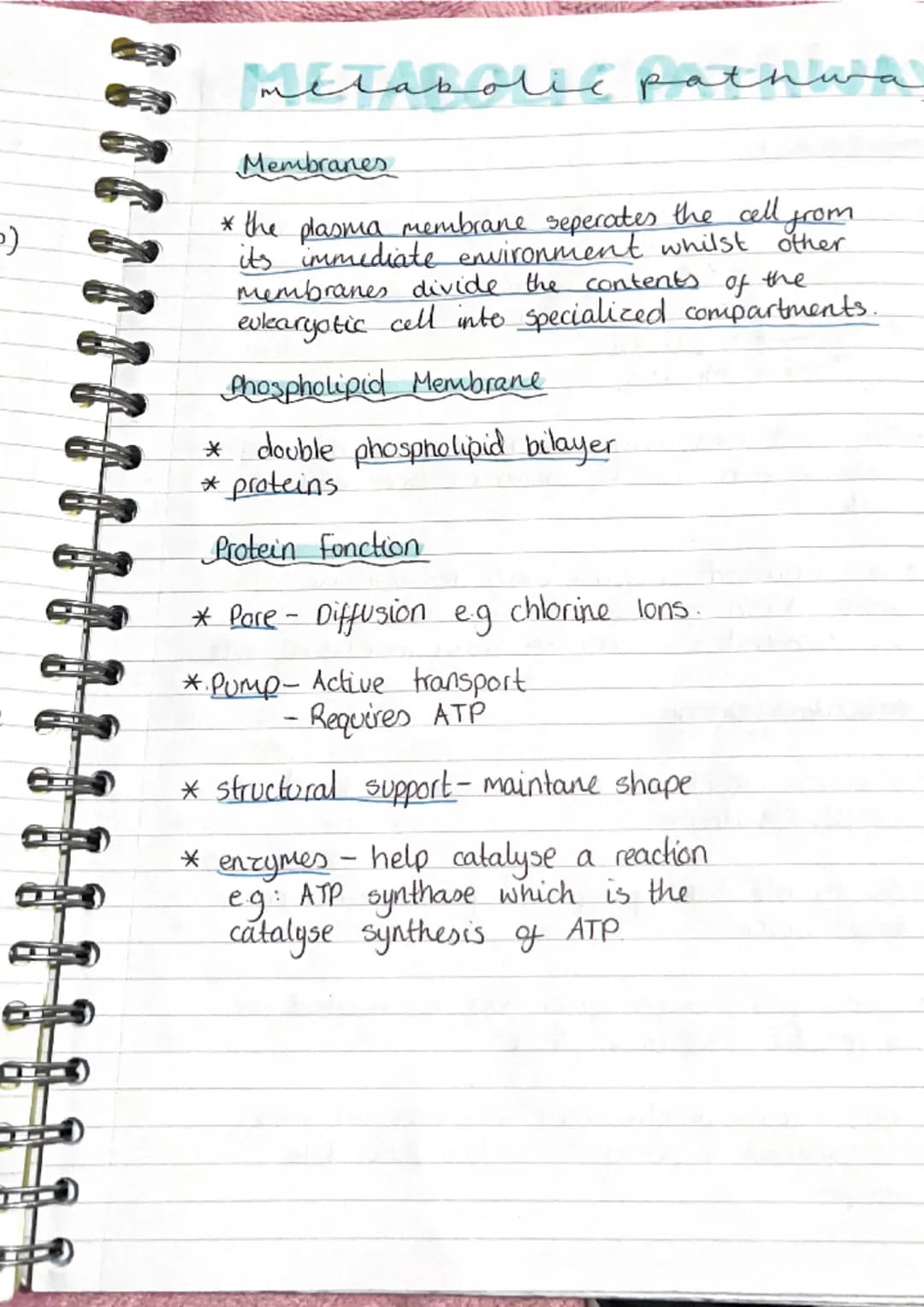 metabolic pathwa
pathways
* metabolism is the term used to describe all
the reactions taking place within.
J
cell.
* Anabolic build up
*Cata