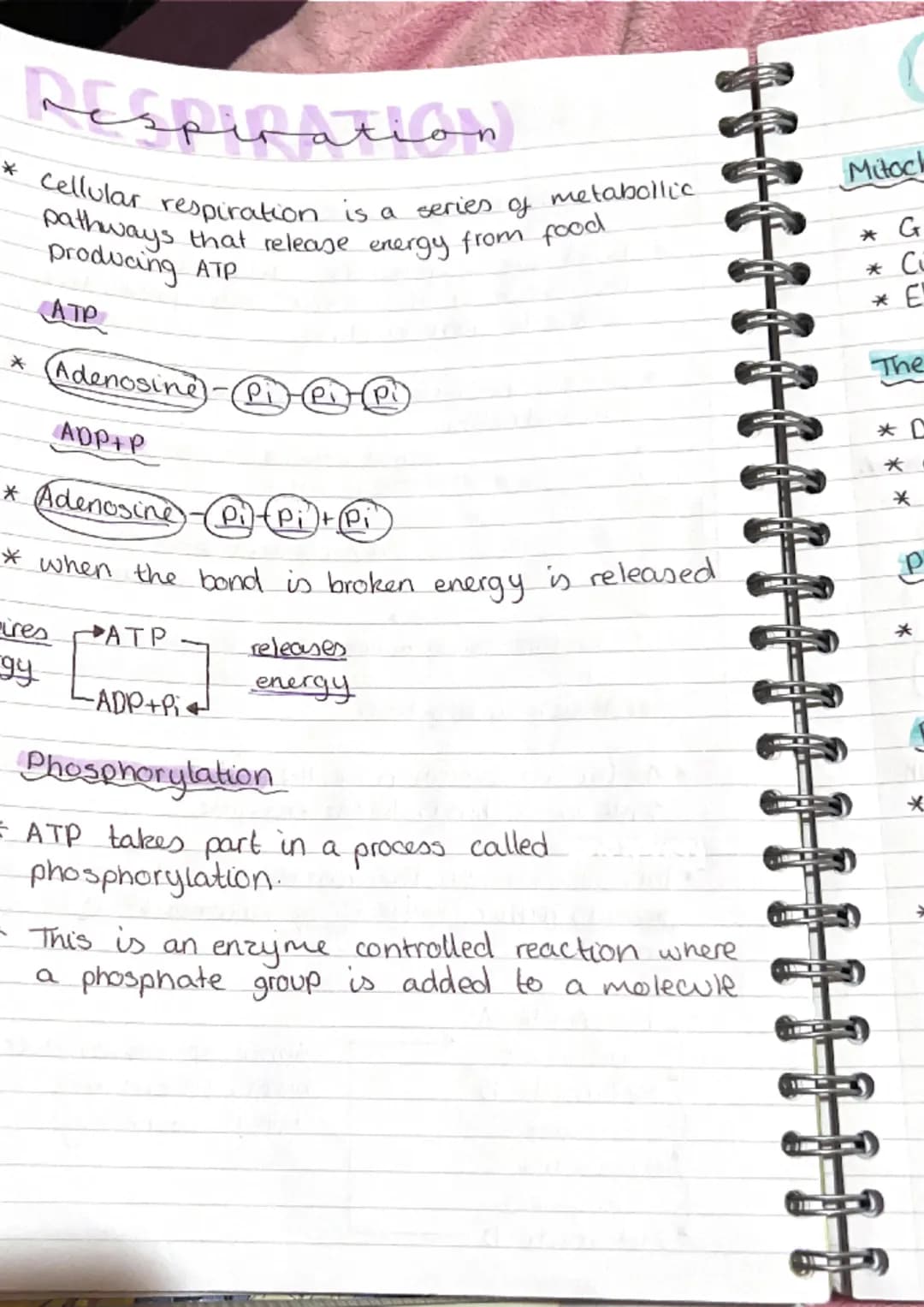 metabolic pathwa
pathways
* metabolism is the term used to describe all
the reactions taking place within.
J
cell.
* Anabolic build up
*Cata