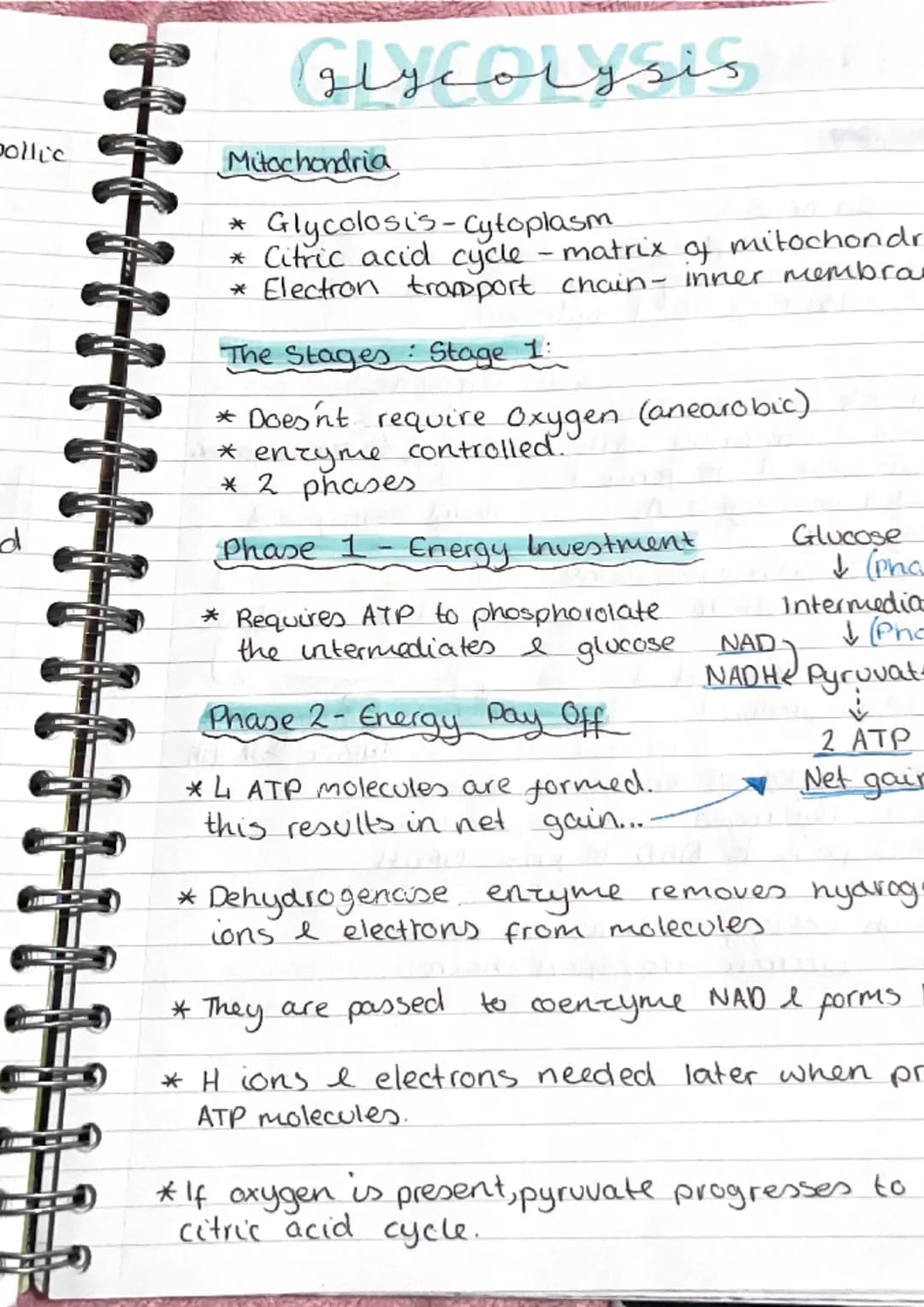 metabolic pathwa
pathways
* metabolism is the term used to describe all
the reactions taking place within.
J
cell.
* Anabolic build up
*Cata