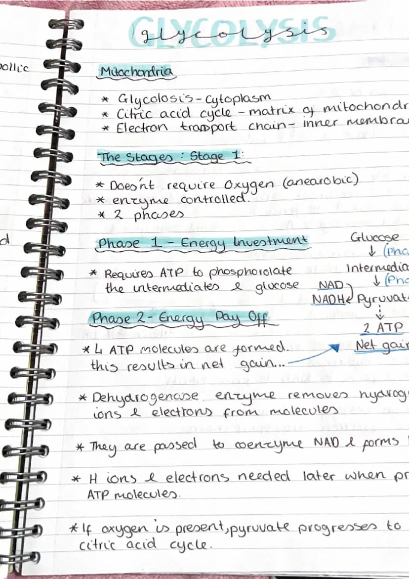 metabolic pathwa
pathways
* metabolism is the term used to describe all
the reactions taking place within.
J
cell.
* Anabolic build up
*Cata